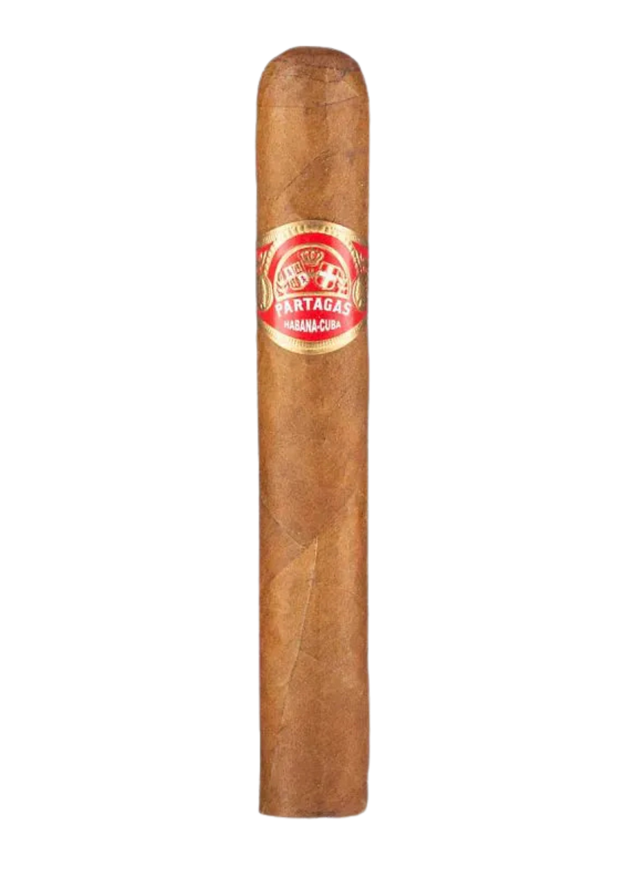 Partagas Shorts