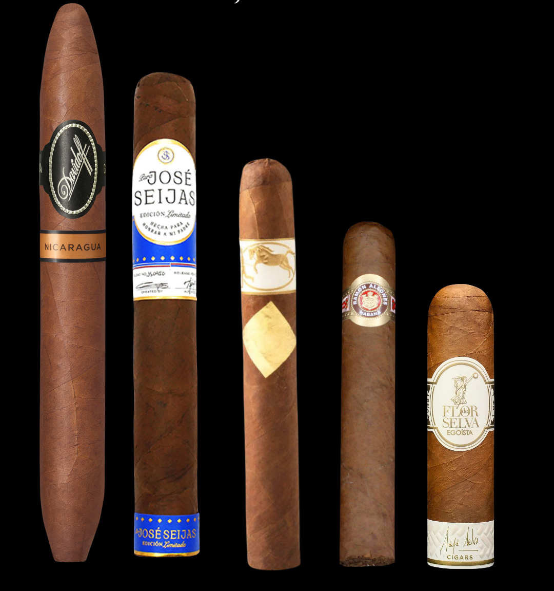 Pack "Les incontournables"