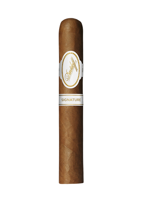 Davidoff Signature 6000