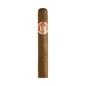 Saint Luis Rey Regios