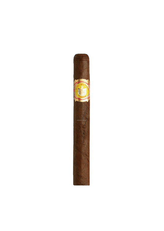 El Rey Del Mundo - Demi Tasse