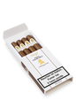 Davidoff WSC Robusto