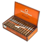 VegaFina Nicaragua Short