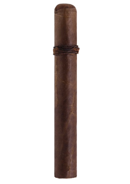 CAO Amazon Basin Toro