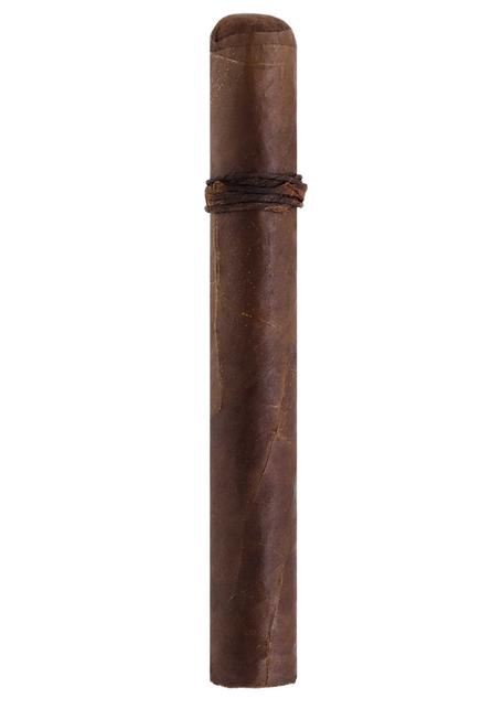 CAO Amazon Basin Toro